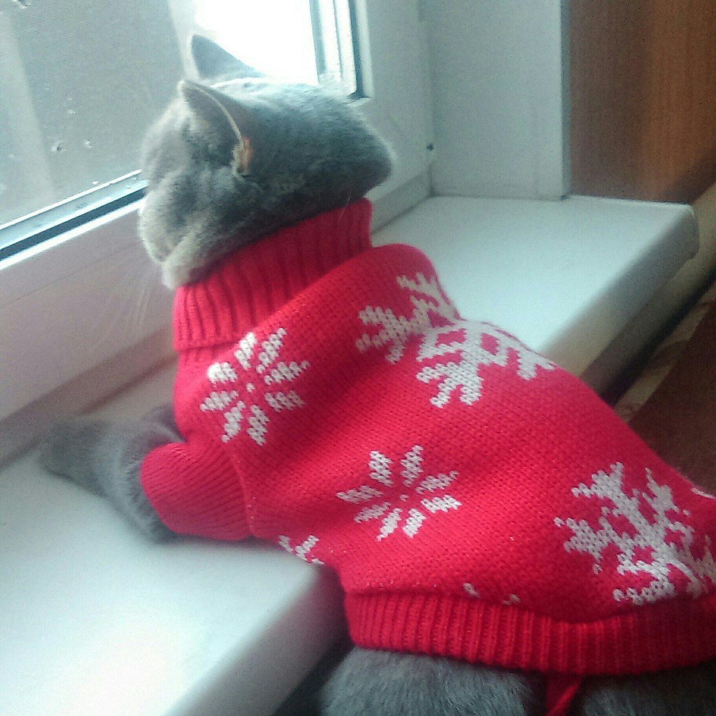 Одевайтесь теплее