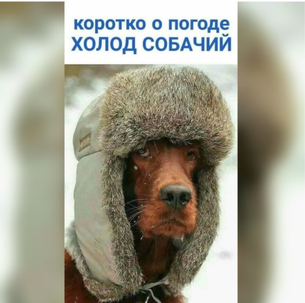 Доброе Холодное утро