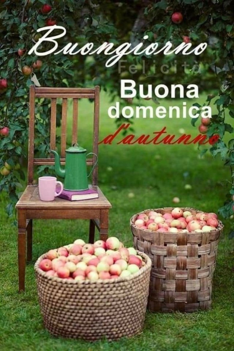 Сбор урожая в деревне