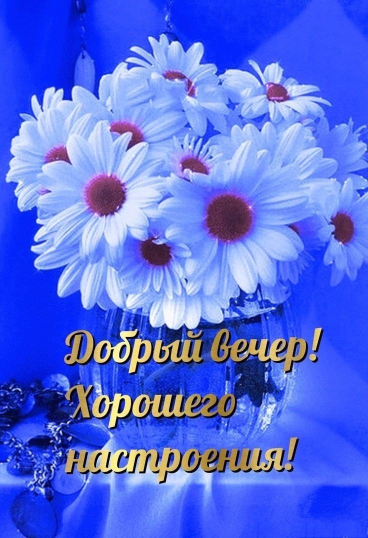 Добрый вечер ромашки