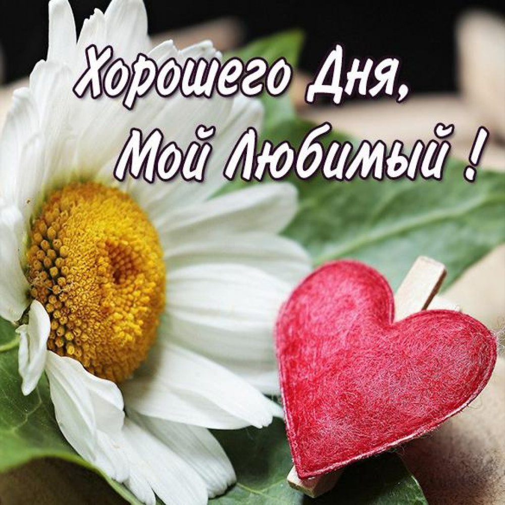 Добрый день любимый