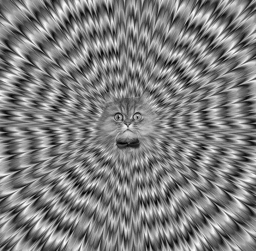 Психоделические иллюзии