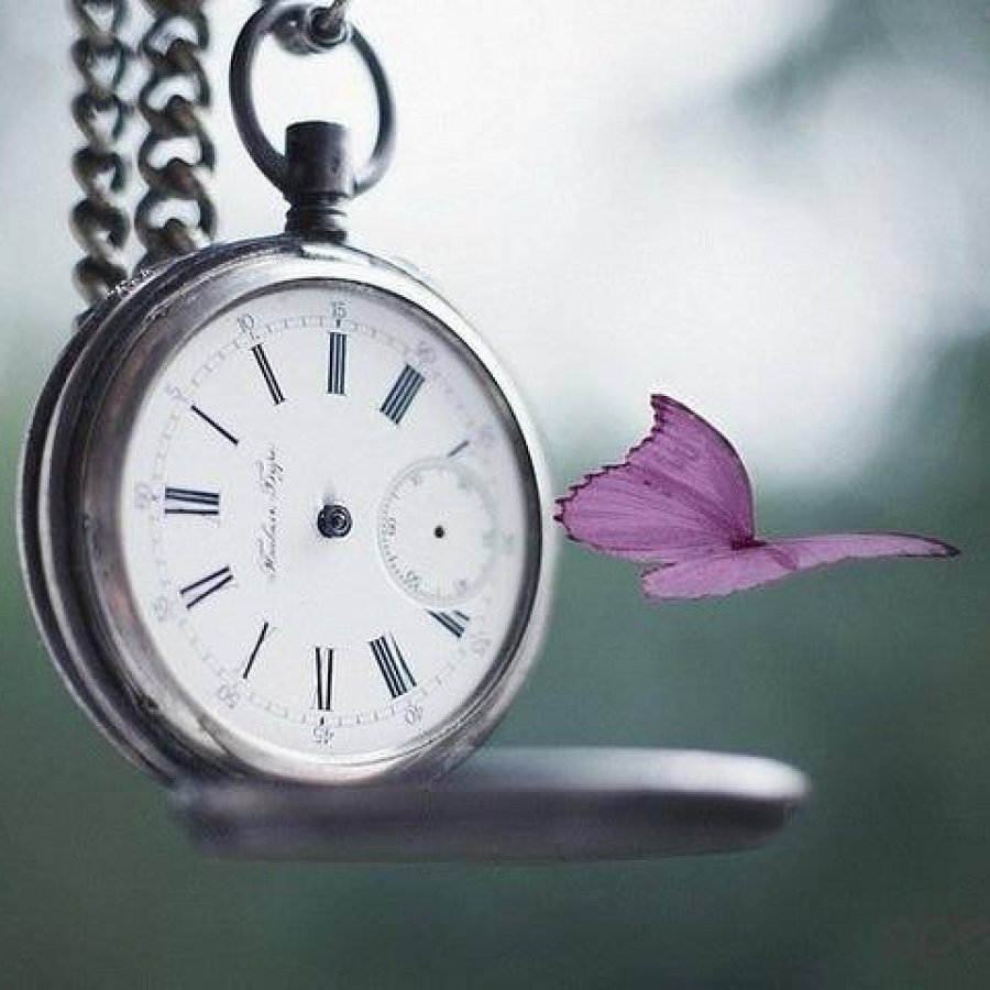 Время летит