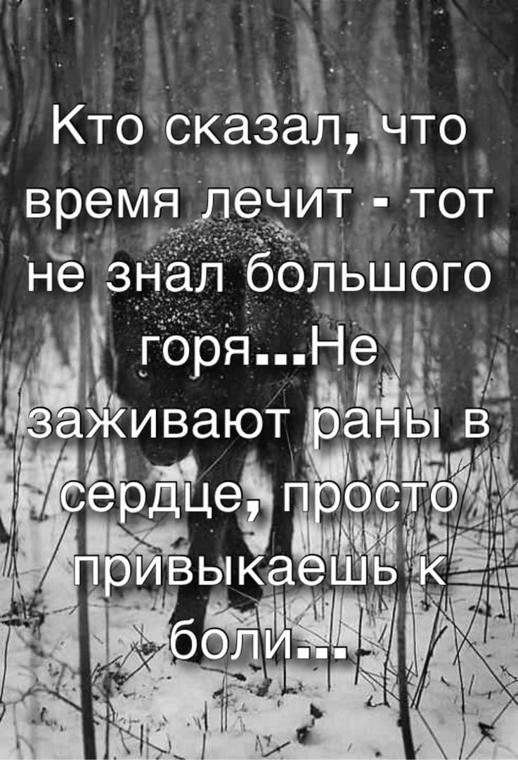 Кто сказал что время лечит тот