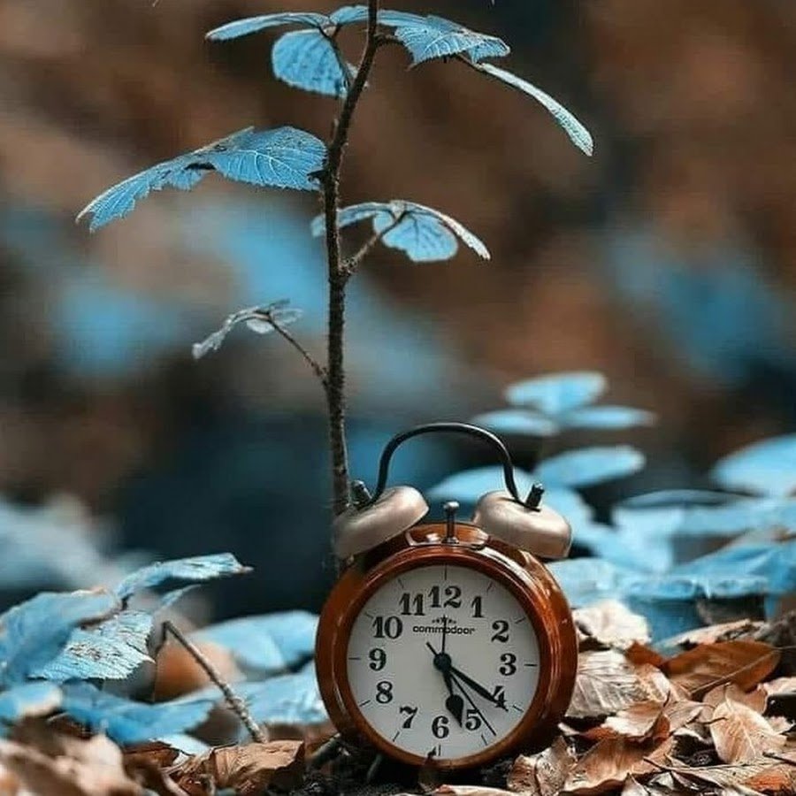 Гузель созлер