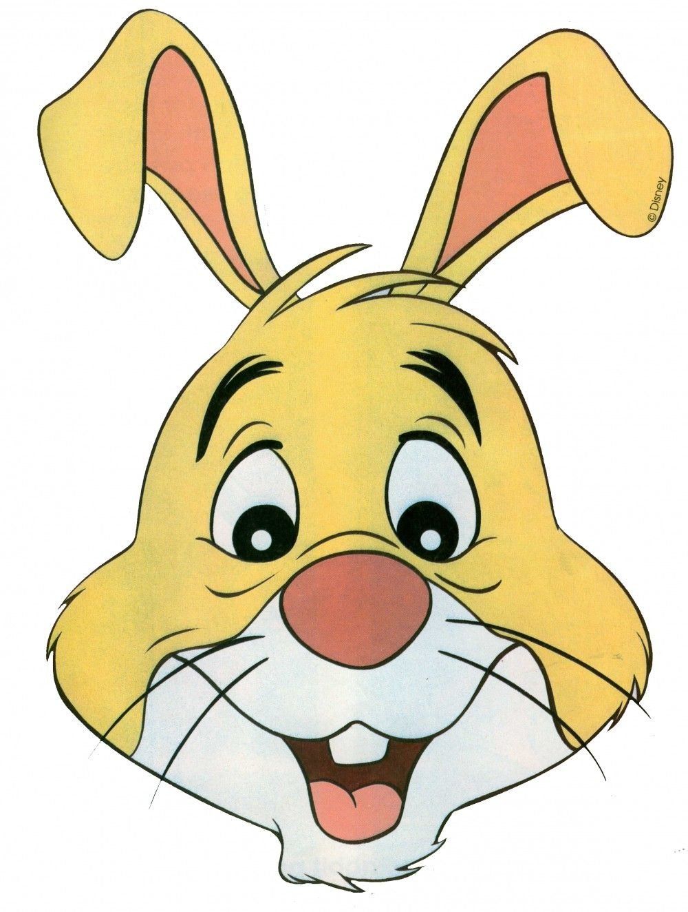 Мордашка зайца