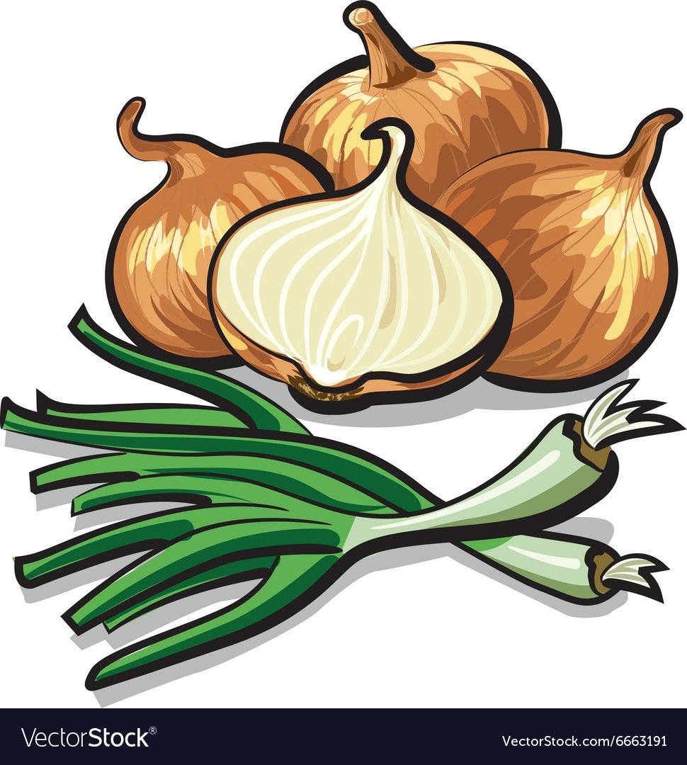 Лук в иллюстраторе