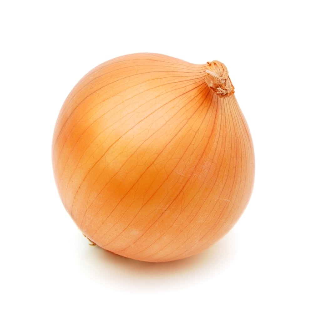 Лук репчатый