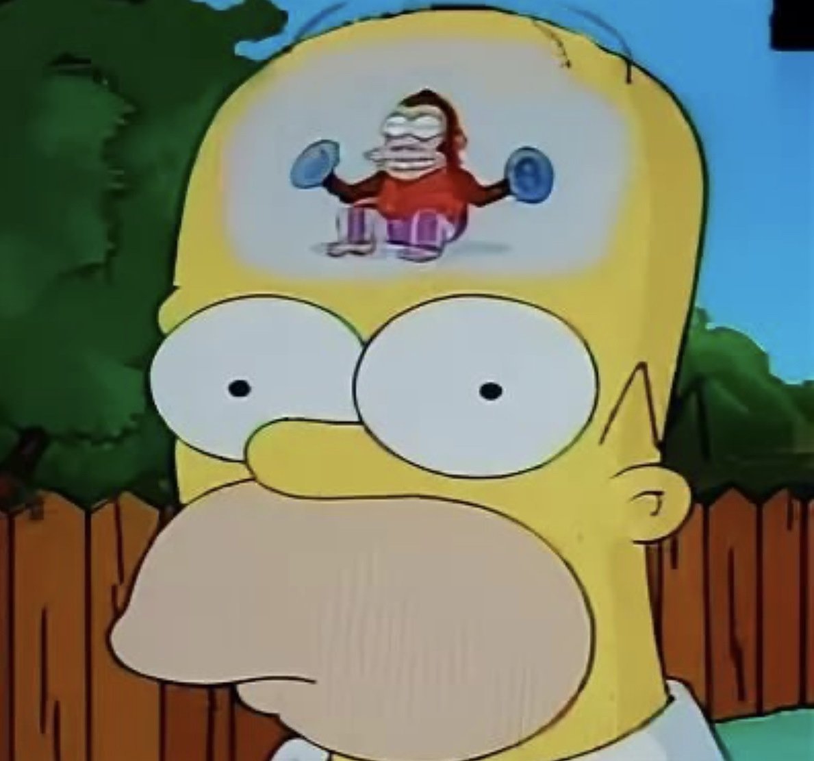 Гомер мартышка с тарелками