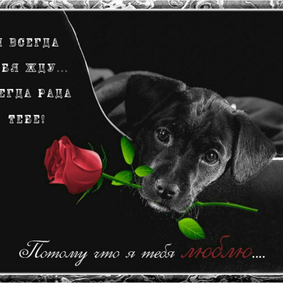 Открытки я скоро приеду