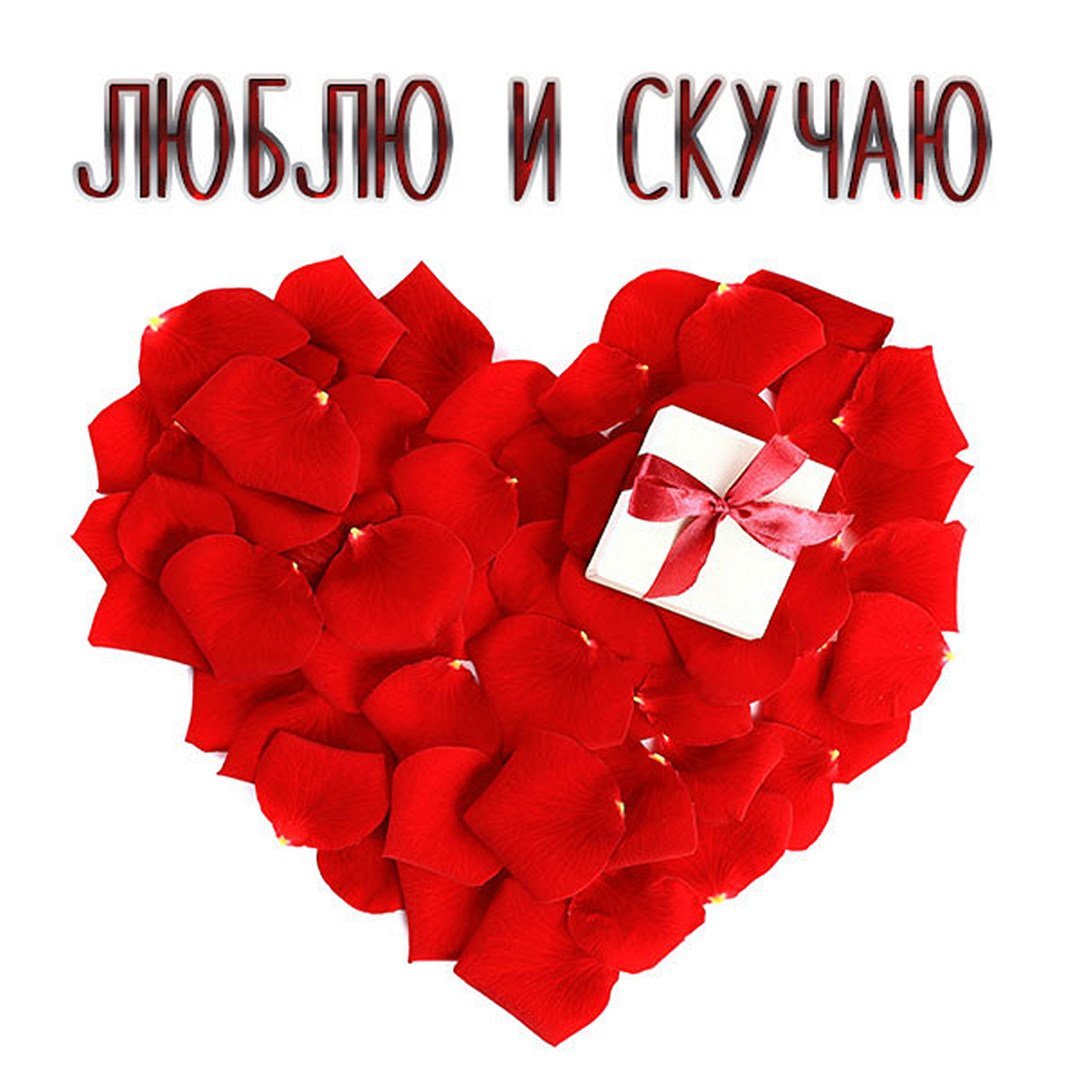 Скучаю жду встречи картинки