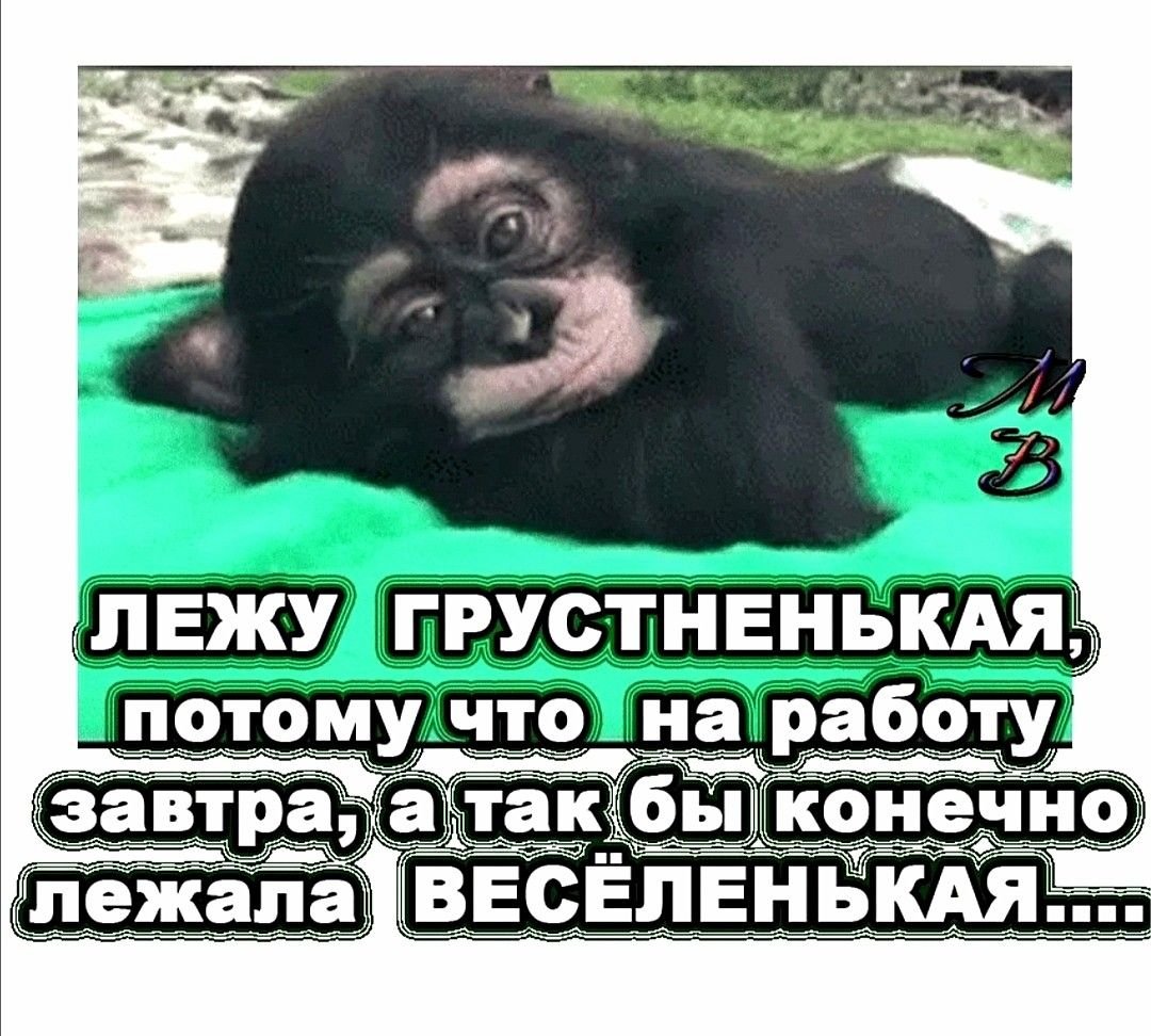 Завтра на работу после отпуска