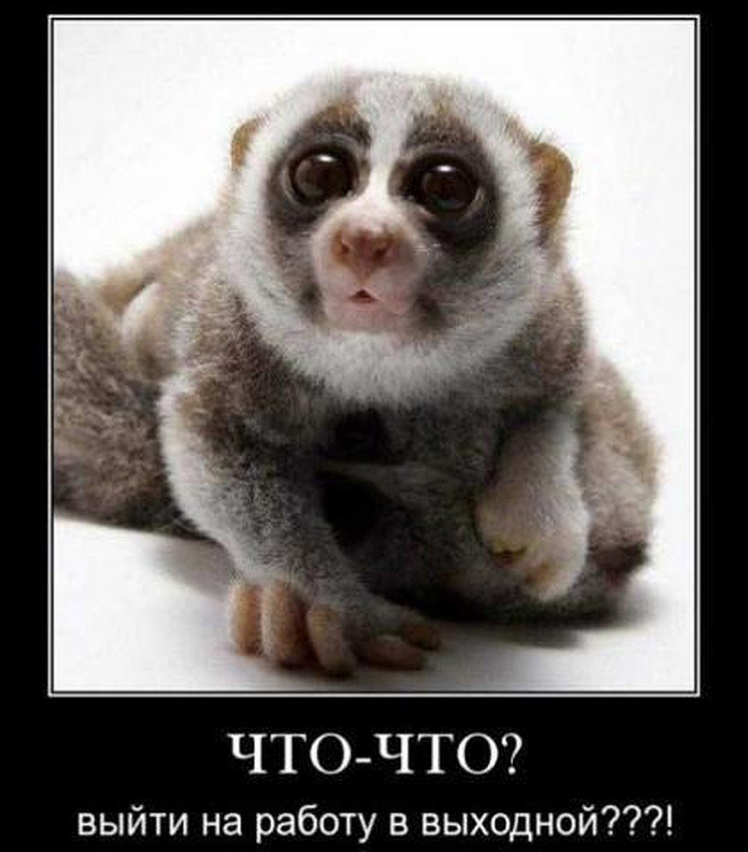 Приколы про работу