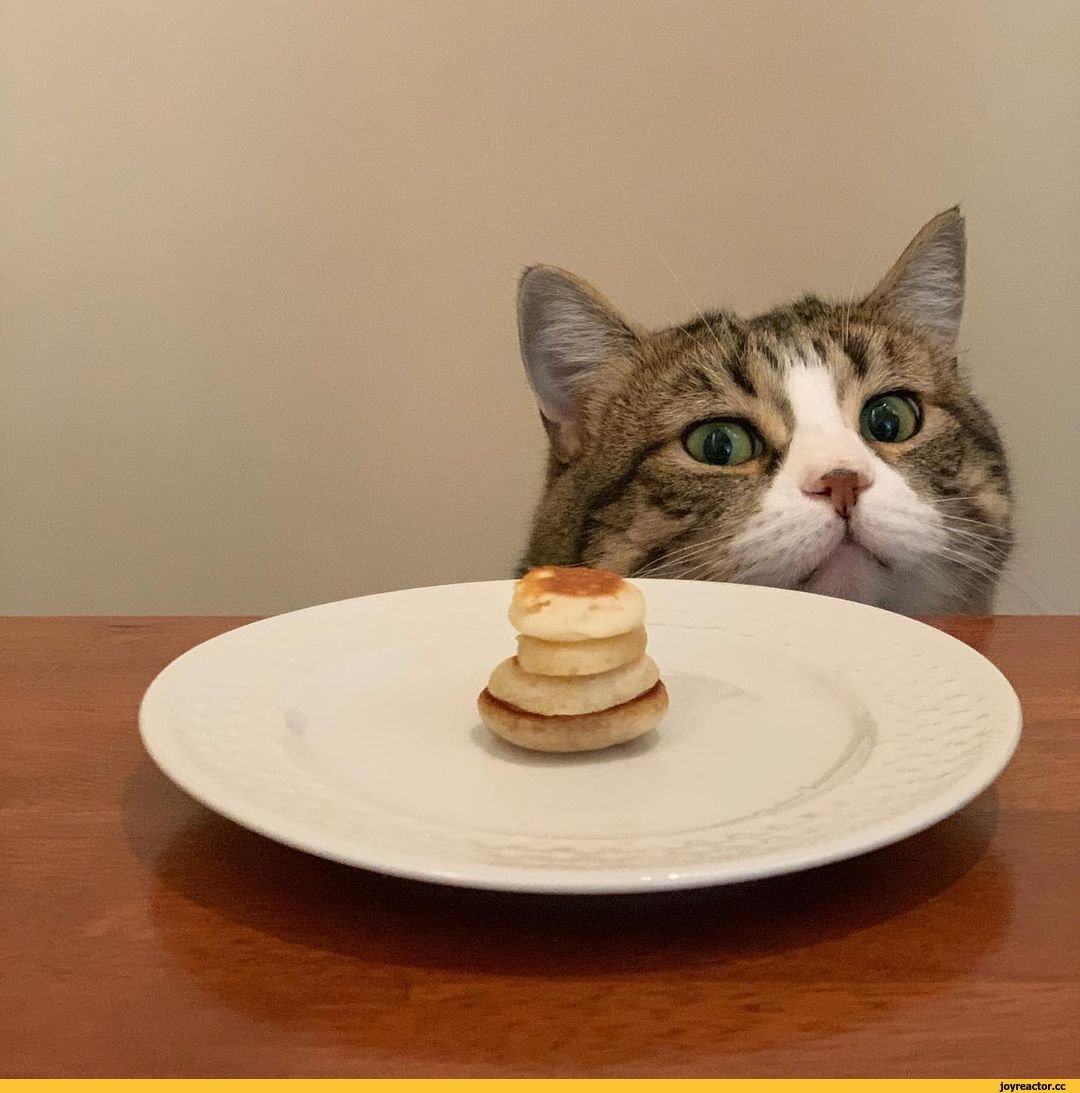 Открытки с Масленицей