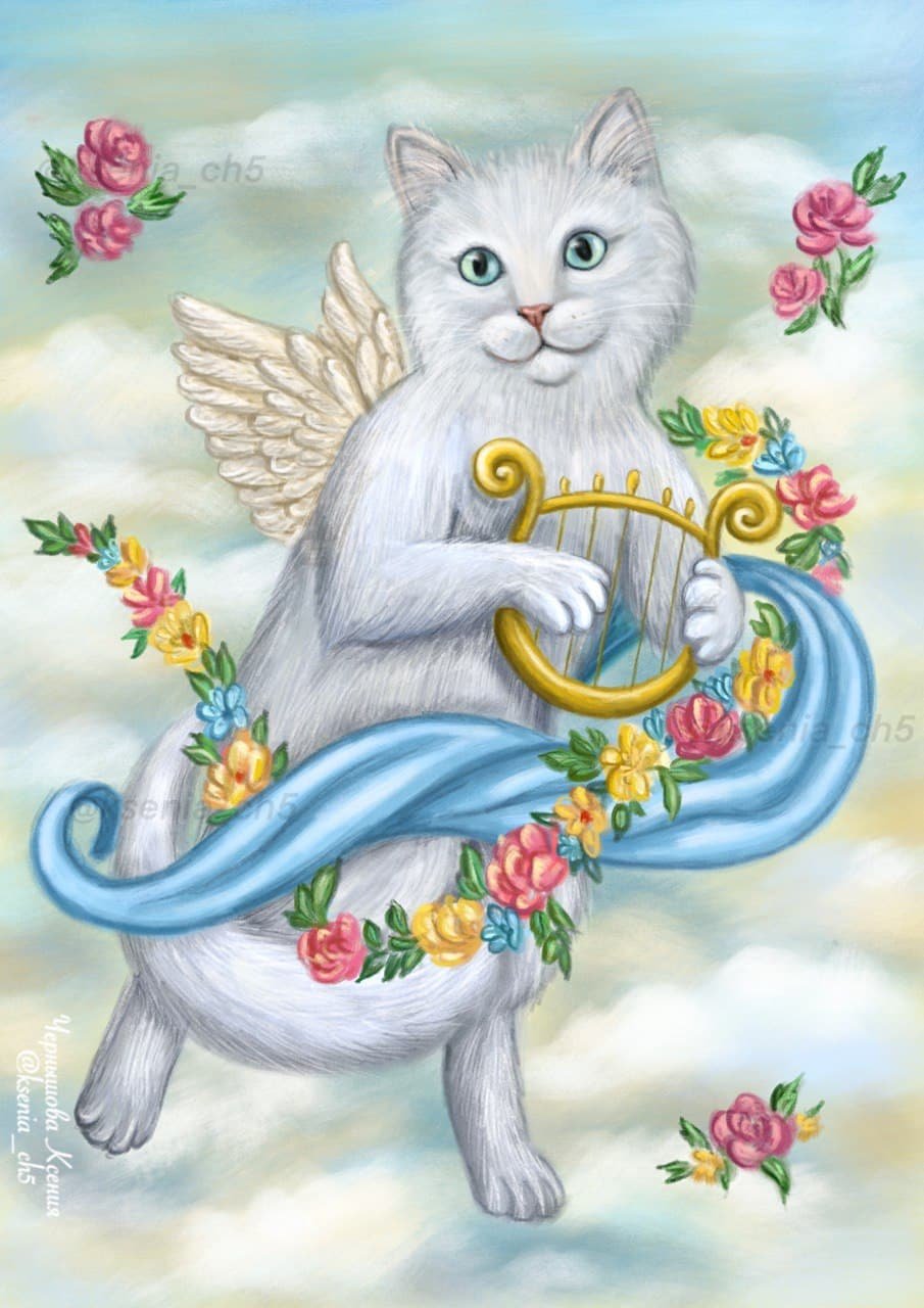 Котик с крыльями