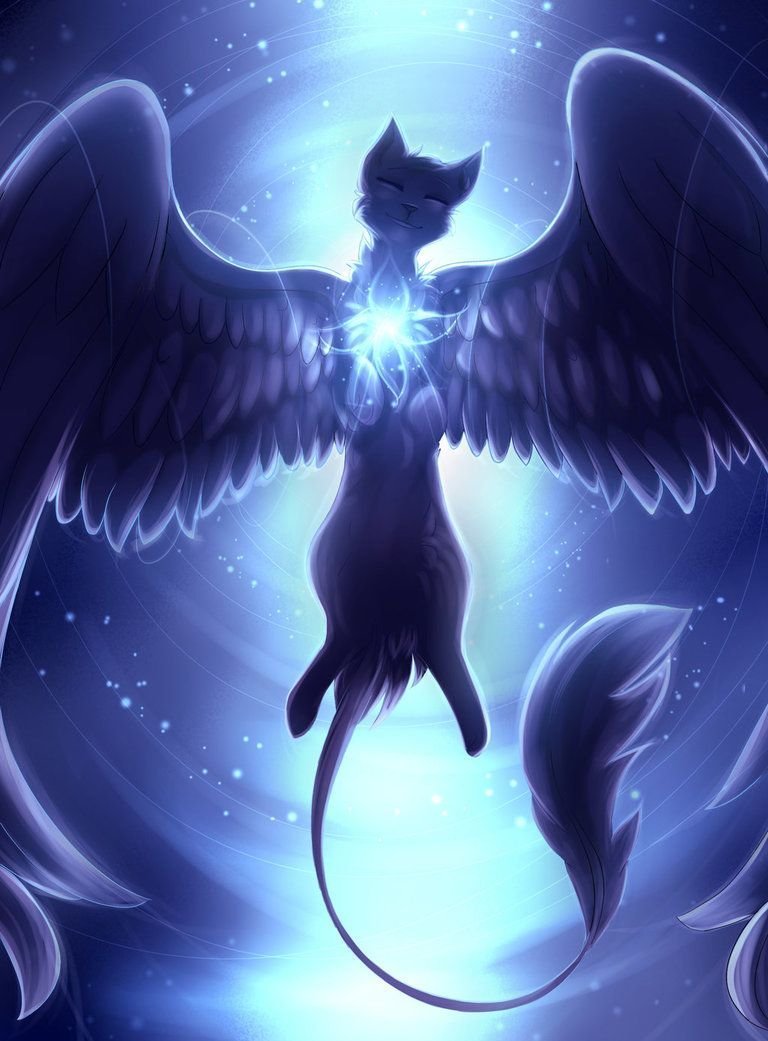 Лунная кошка ангел