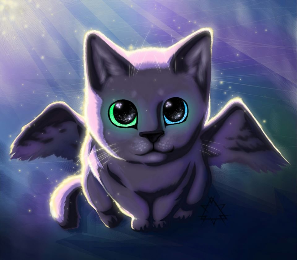 Открытка «котики»