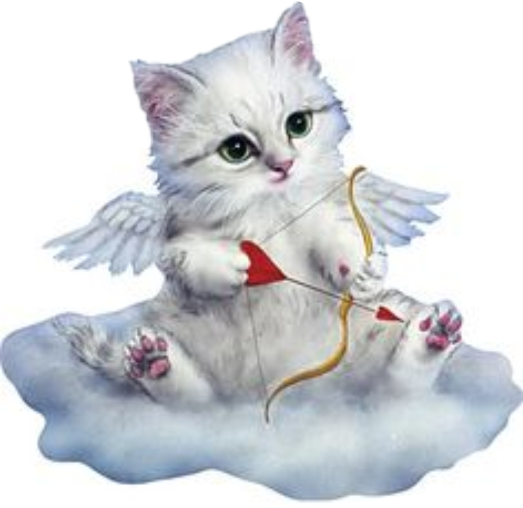 Кот ангел Мем