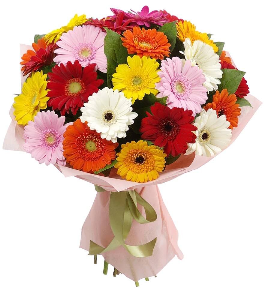 Букет "Гербера и хризантемы"
