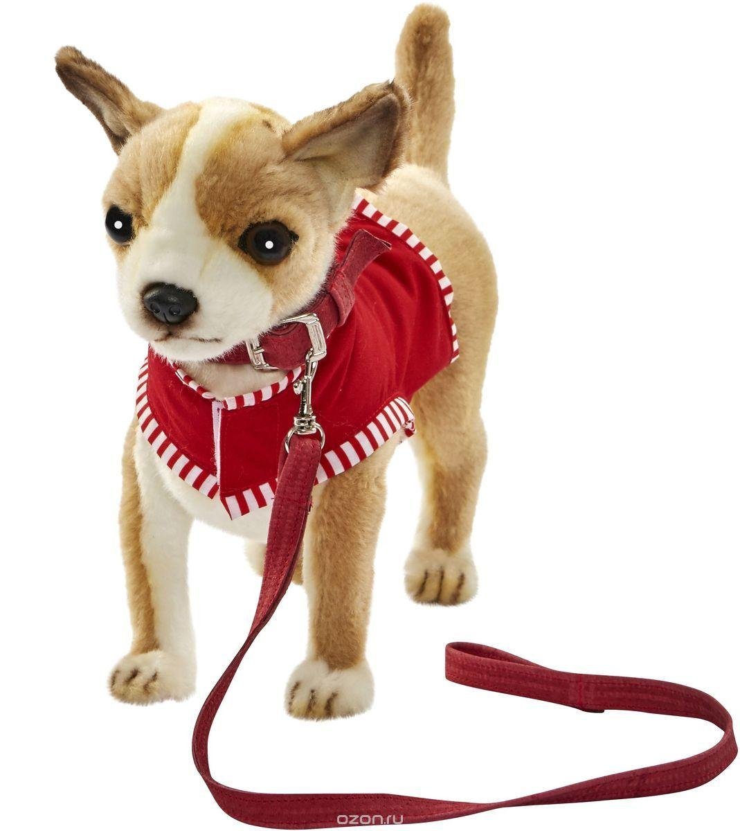 Hansa чихуахуа, 27 см