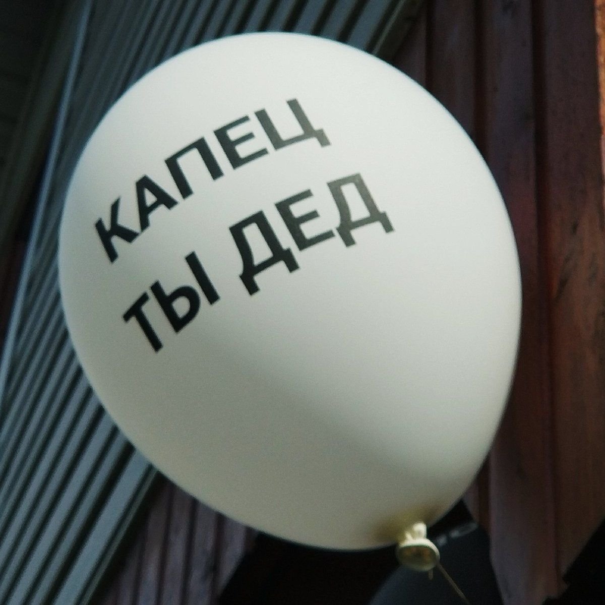 С днем рождения кот