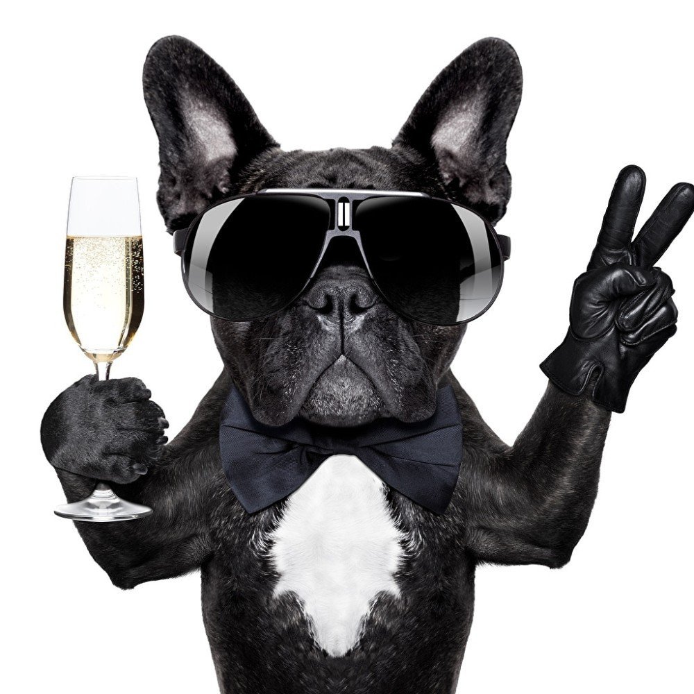 Открытка с единорожкой с днем рождения