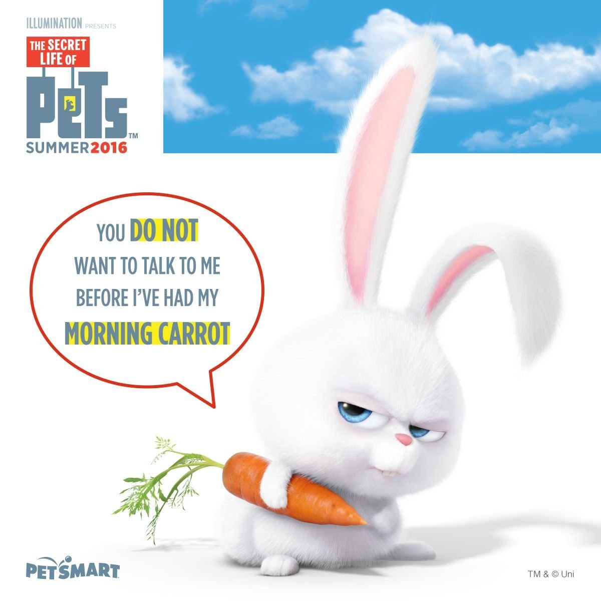 Тайная жизнь домашних животных снежок