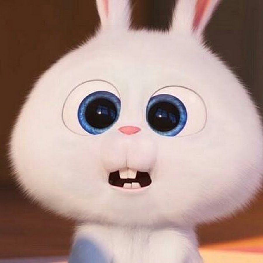 Тайная жизнь домашних животных заяц снежок