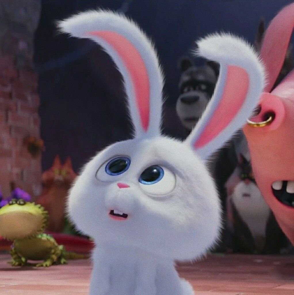 Кролик с мультфильма Тайная жизнь