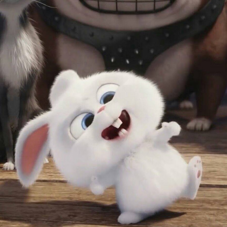 Тайная жизнь домашних животных кролик