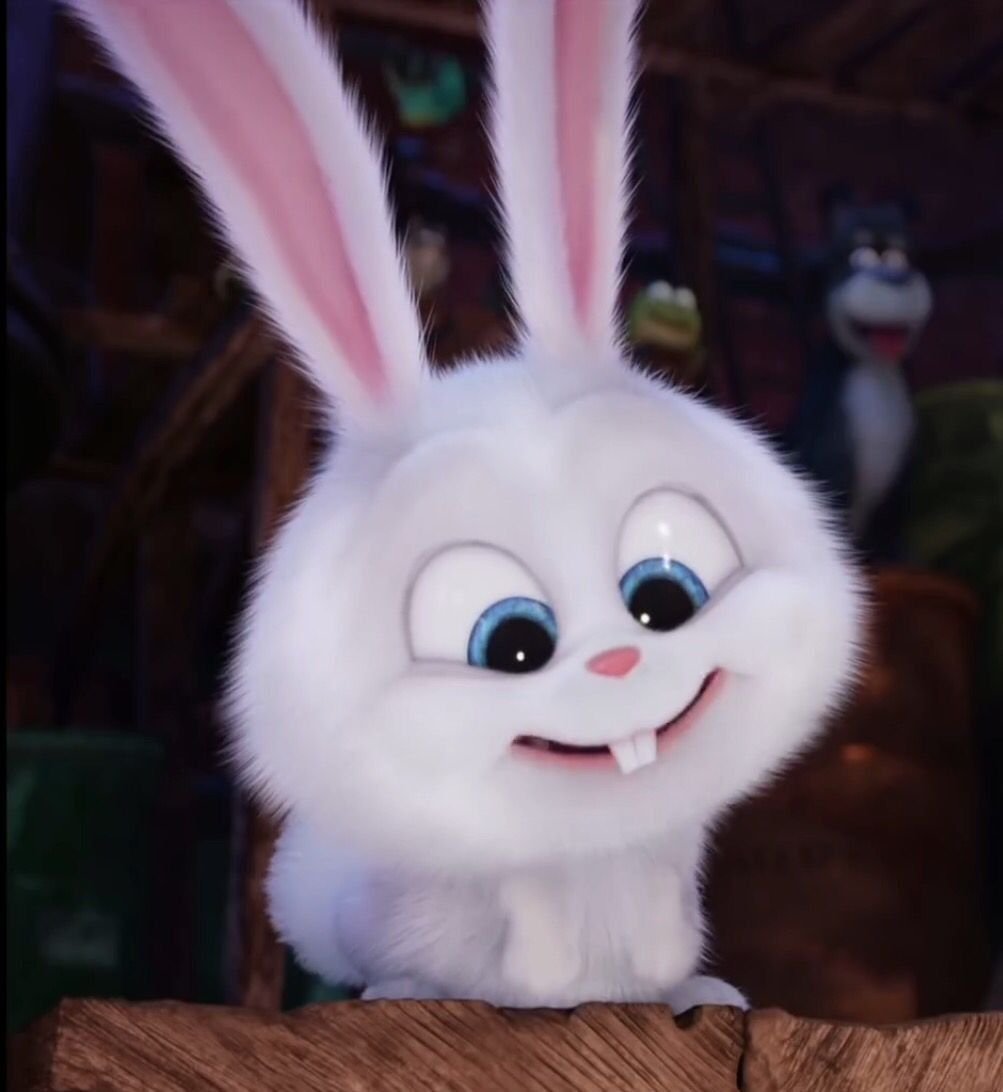 Зайчик снежок из Тайная жизнь