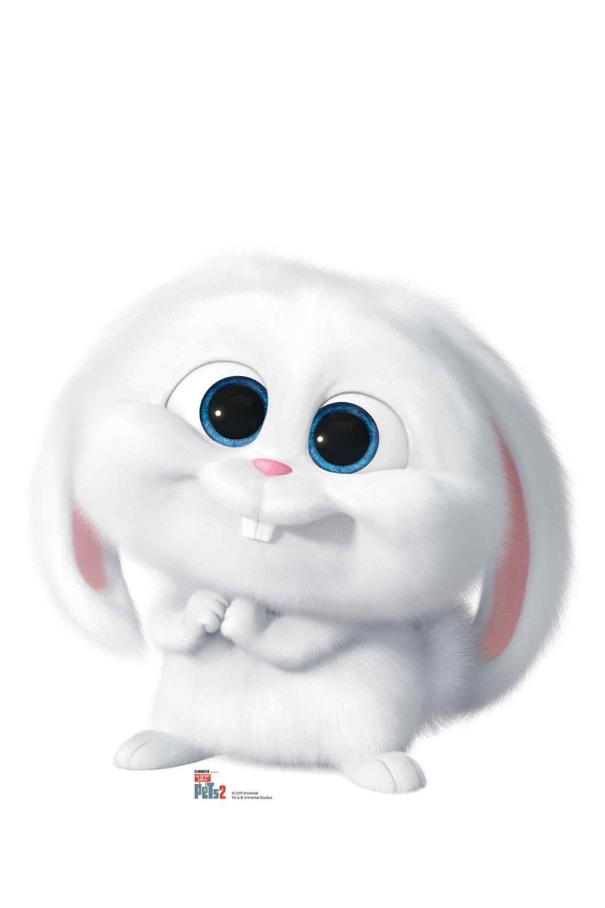 Тайная жизнь домашних животных кролик злой