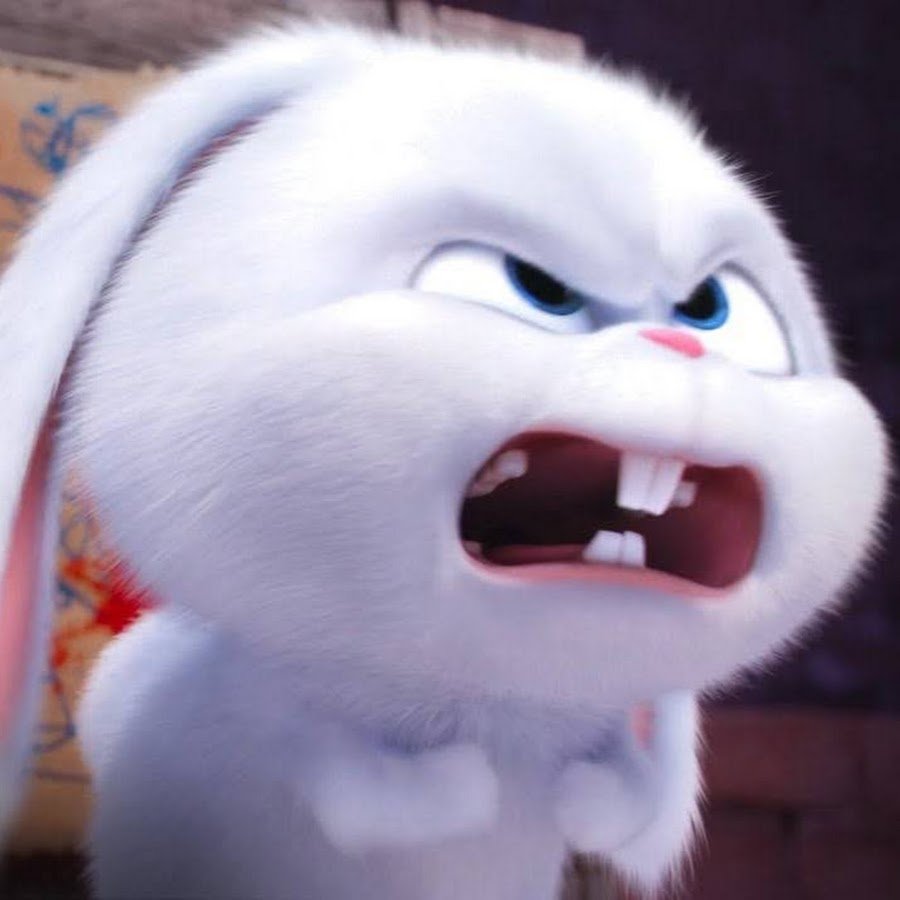 Тайная жизнь домашних животных кролик