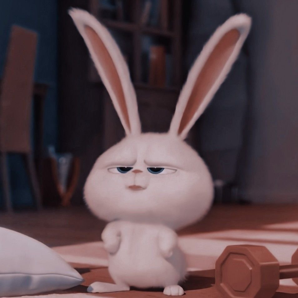 Тайная жизнь домашних животных мультфильм кролик снежок