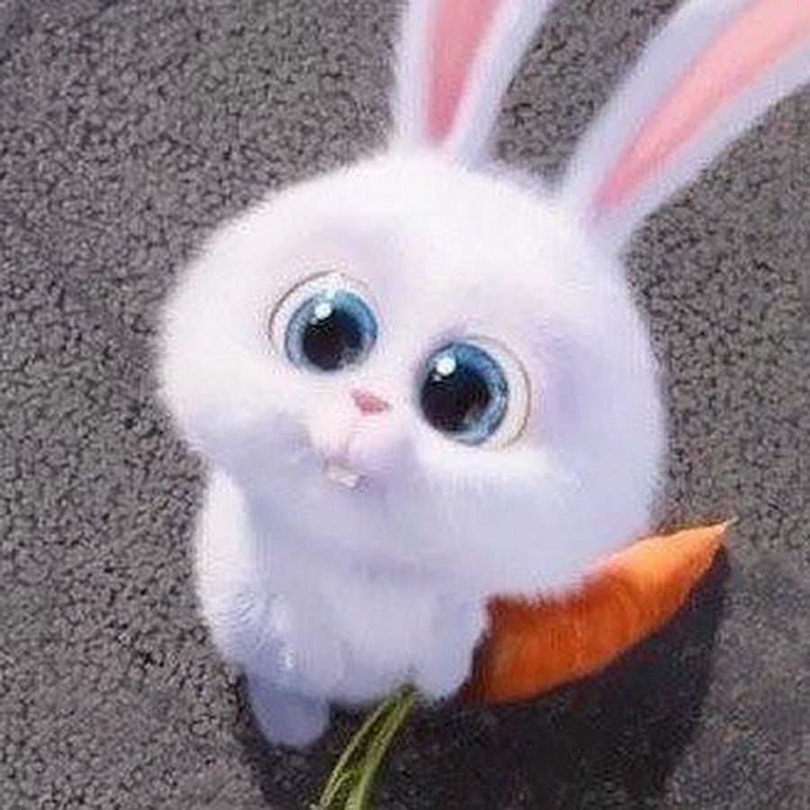 Тайная жизнь домашних животных заяц злой