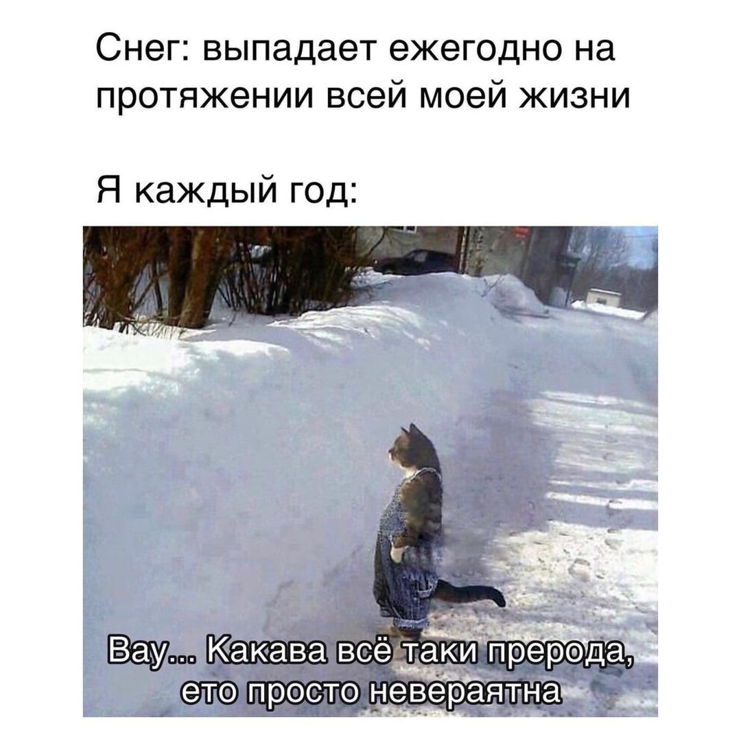 Шутки про много снега