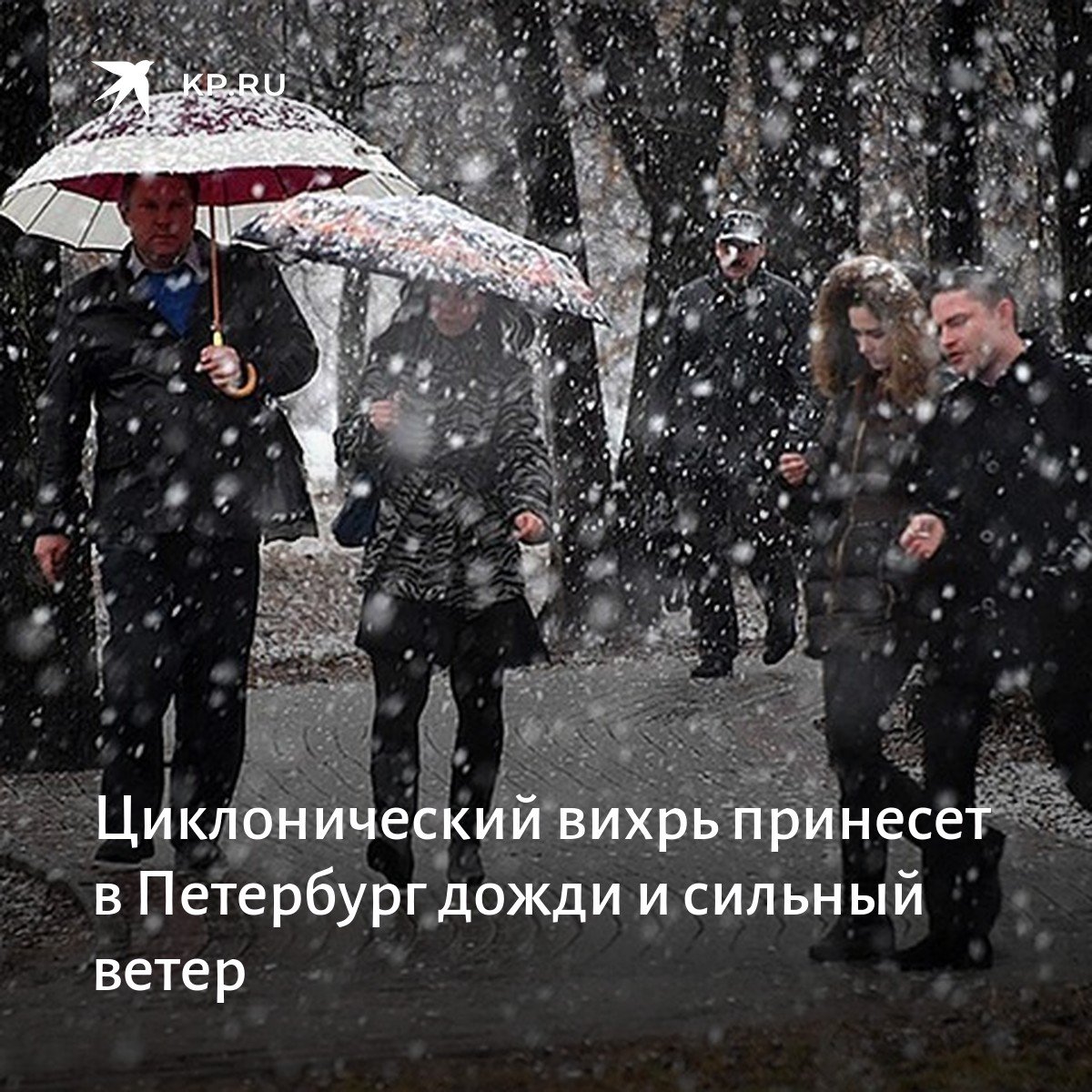 Опять снег картинки прикольные