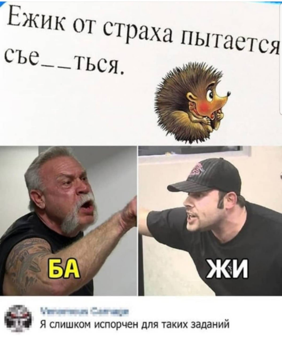 Добрый юмор в картинках