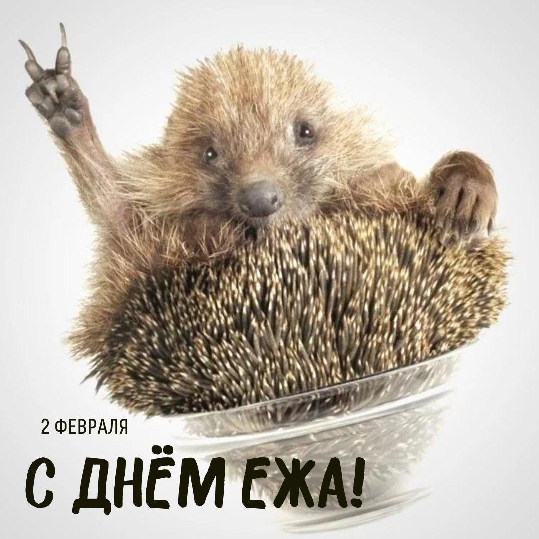 Смешные цитаты со смыслом