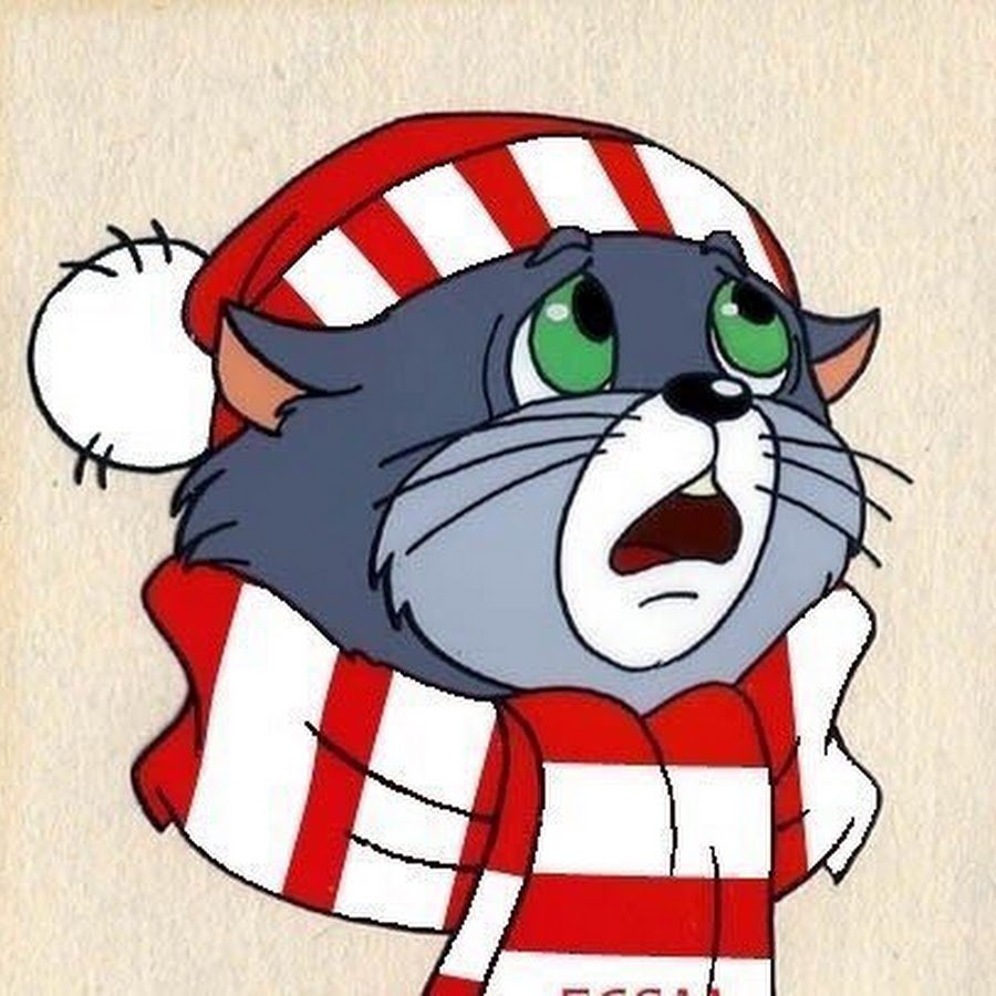 Матроскин в новогодней шапке