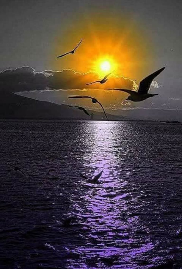 Спокойной ночи