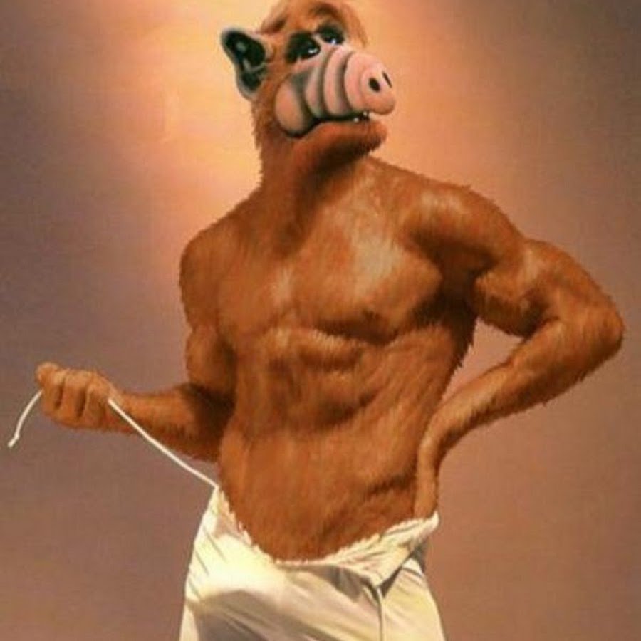 Альф на прозрачном фоне