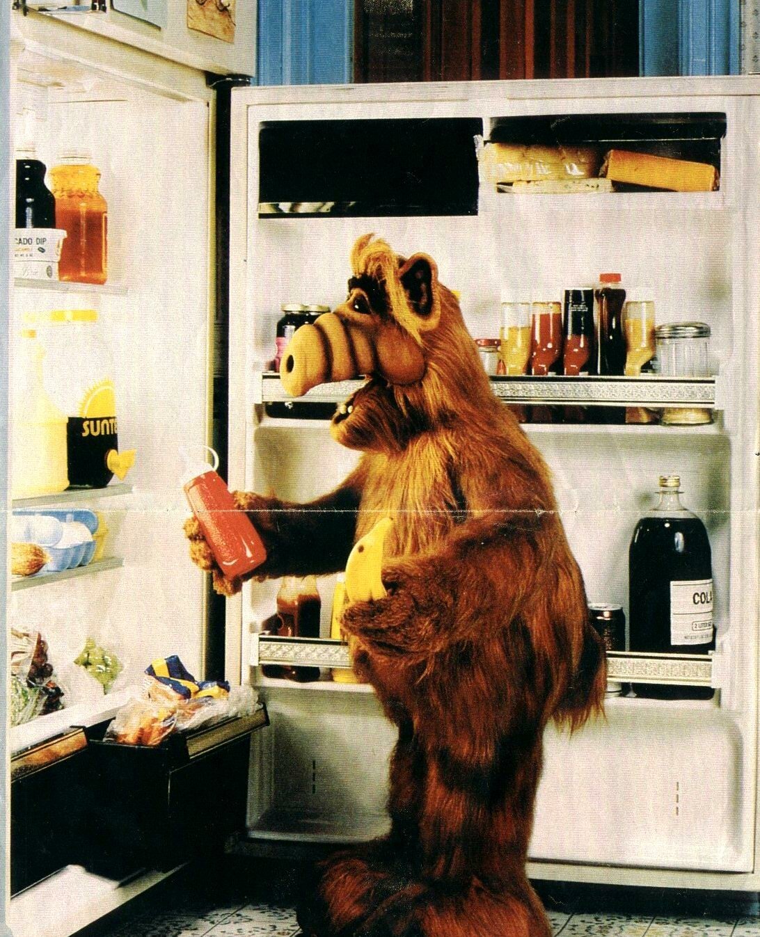 Альф Гордон Шамуэй синий