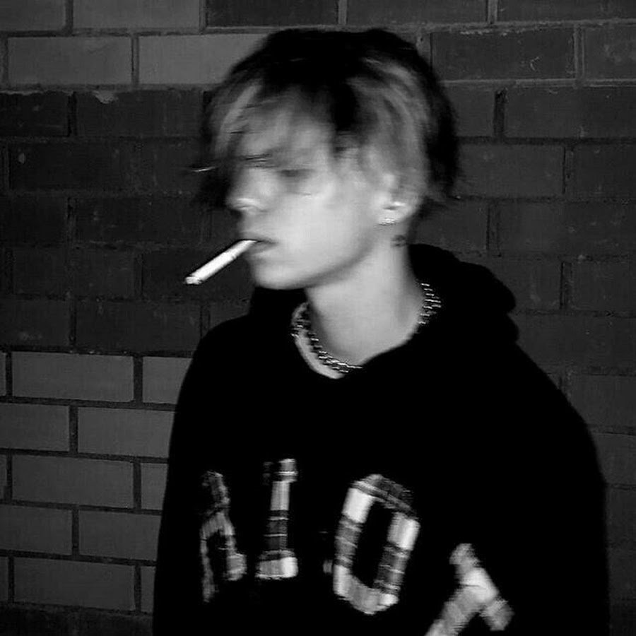 Сара вектор Египет