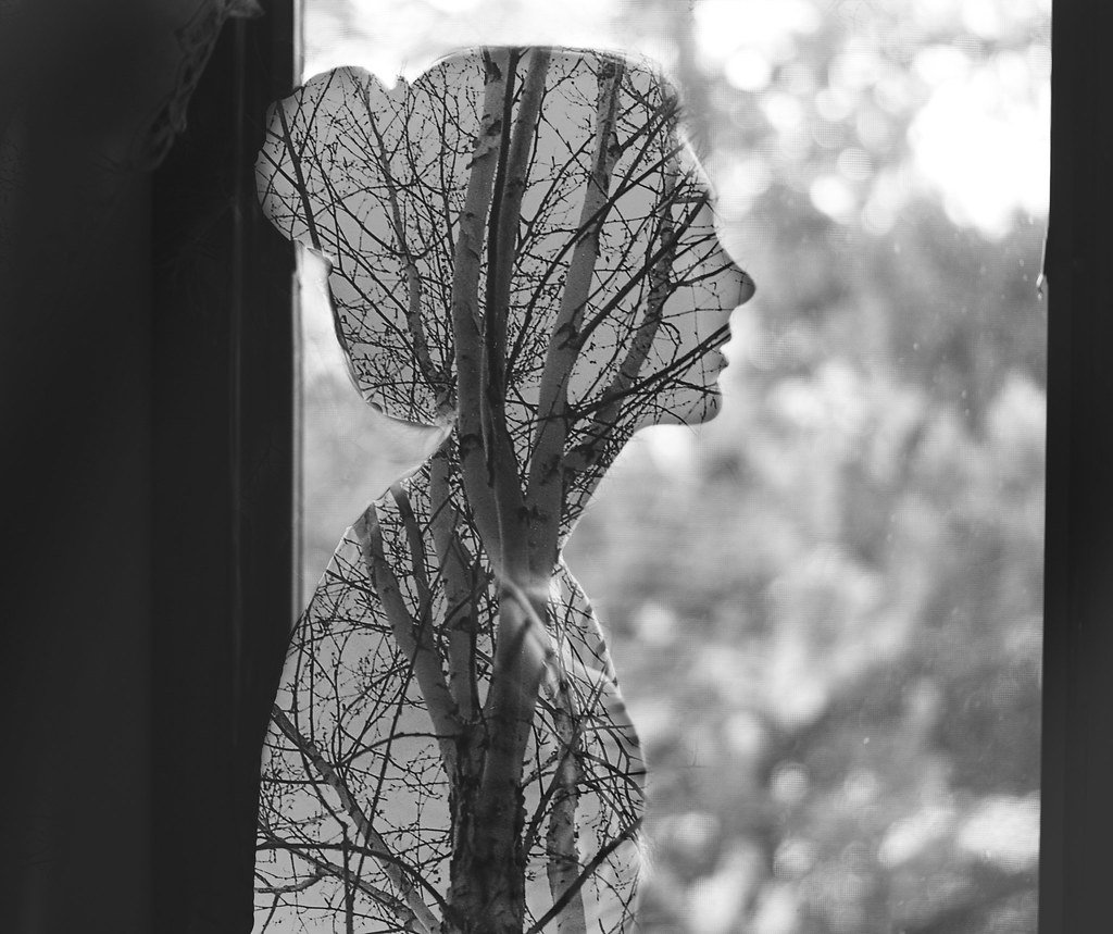 Картинка невидимка