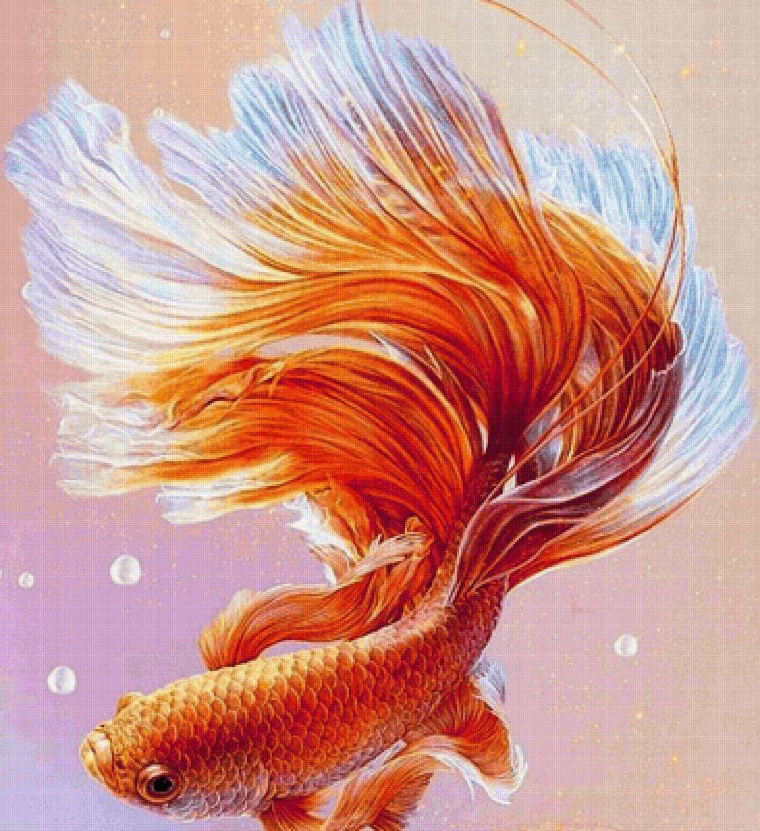 Золотая рыбка Волшебная