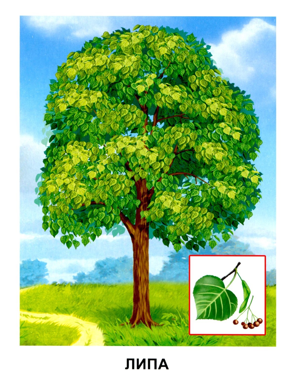 Дерево для детей