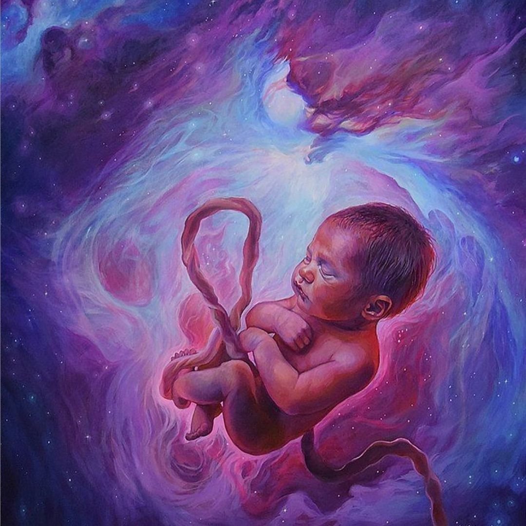 Живопись младенец в утробе