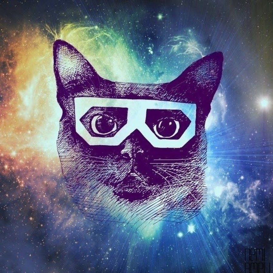 Котик КС го