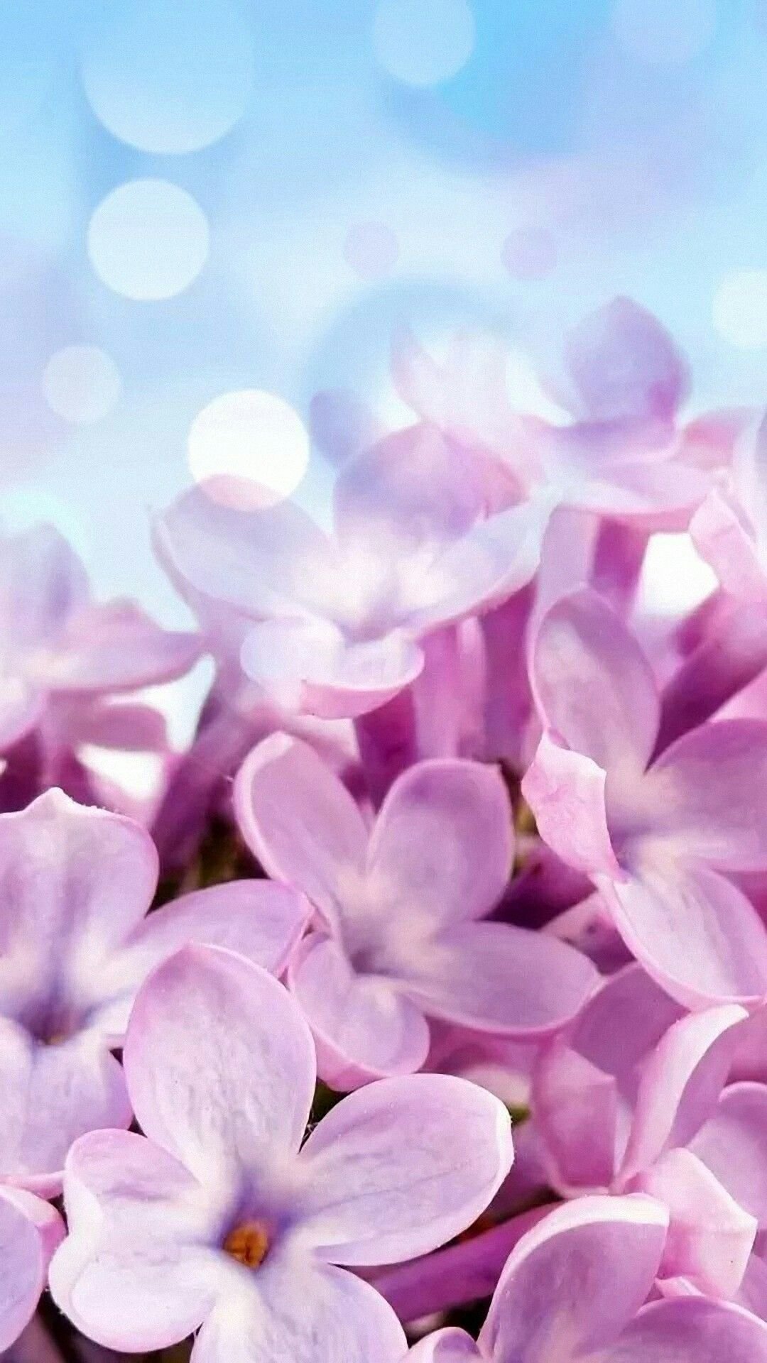 Нежный цветок